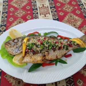 DORADA LA GRĂTAR